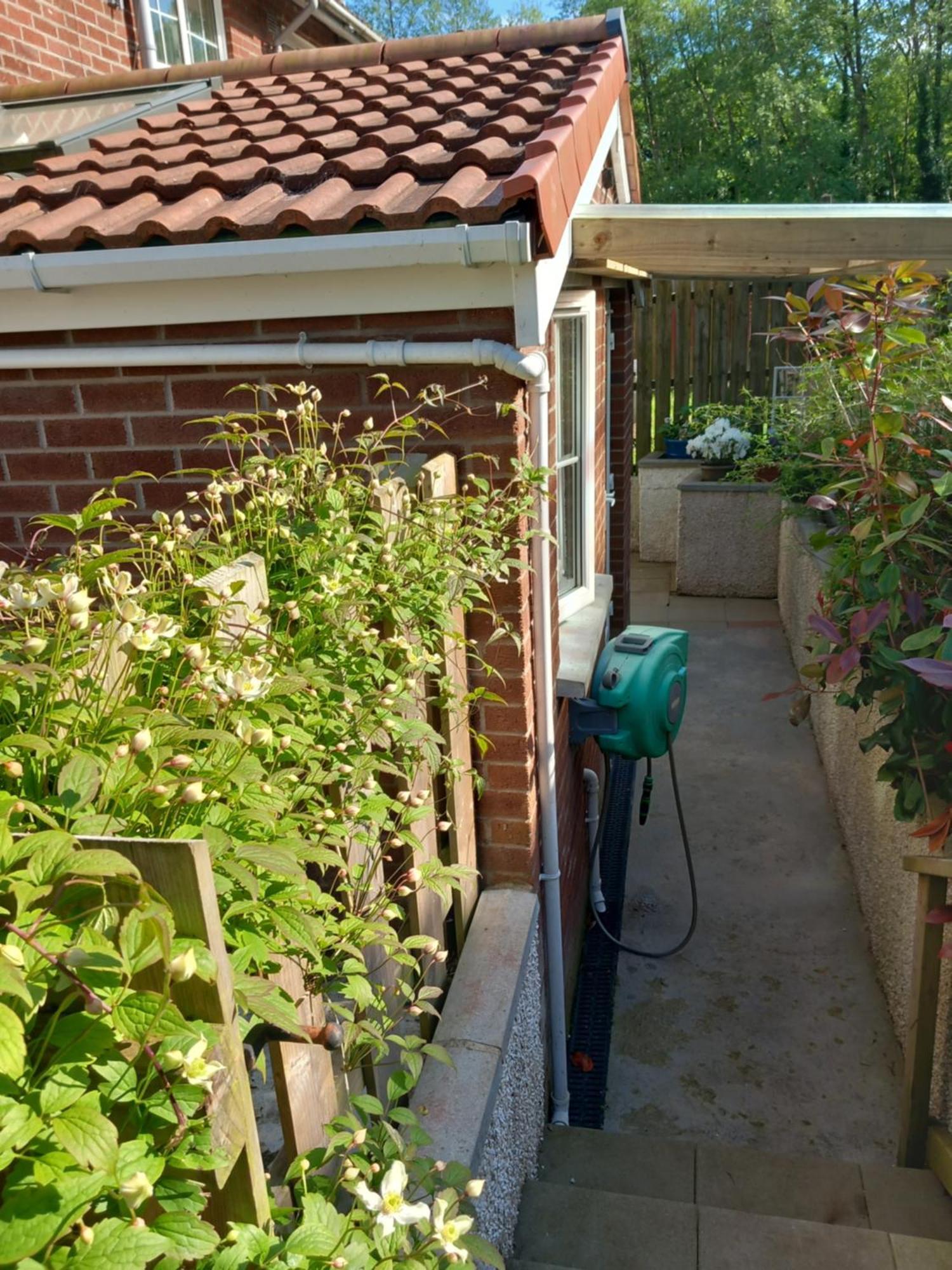 Villa Waveney Belfast Exterior foto